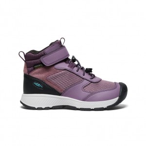 Black Purple Kids' Keen Skua Waterproof Work Boots | GQM6471QW