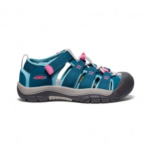 Blue Pink Big Kids' Keen Newport H2 Sandals | EQT8553QN